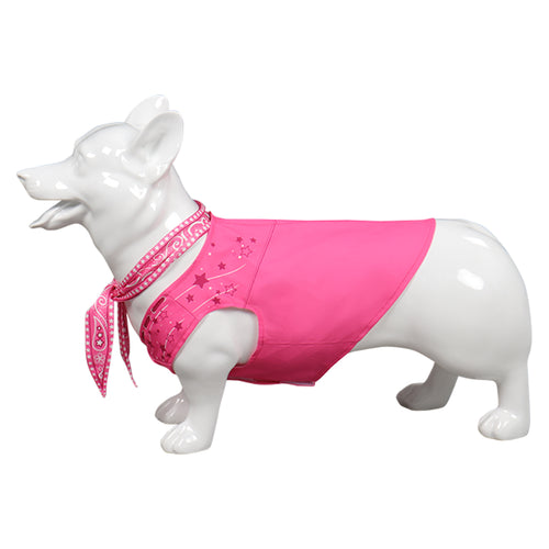 Barbie Dog clothes Cosplay Costume Outfits Halloween Carnival Party Suit PET