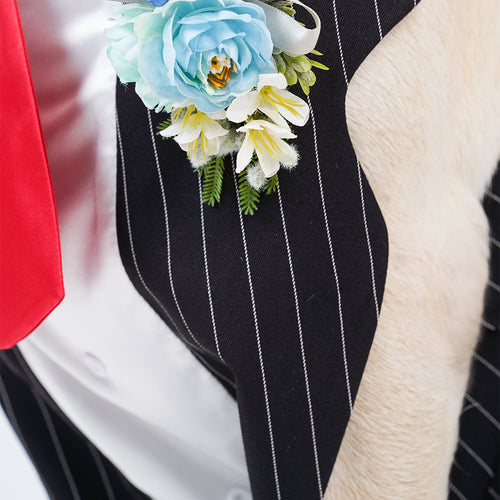 Cosplay Costume Outfits Halloween Carnival Party Suit Pet Tuxedo Tie Stripe