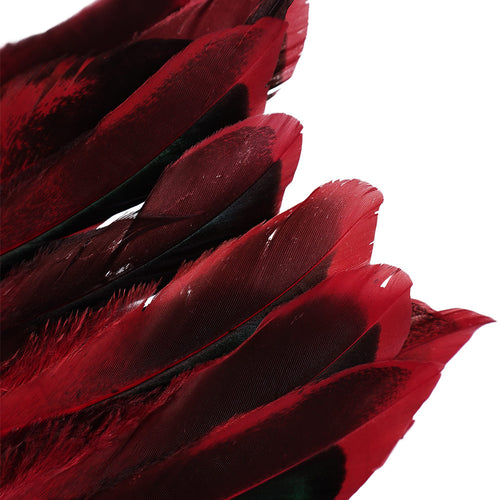 feather Feather cape Stage performance costumes Cosplay Costume Outfits Halloween Carnival Suit