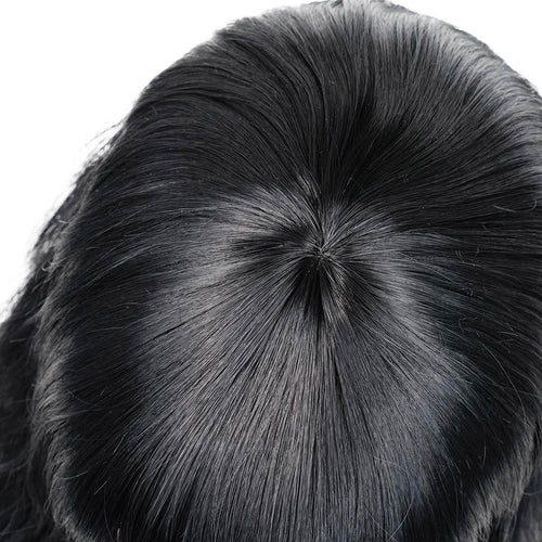 Beetle Juice Cosplay Wig Heat Resistant Synthetic Hair Carnival Halloween Party Props Lydia