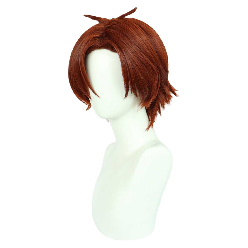 Classroom of the Elite Ayanokouji Kiyotaka Cosplay Wig Heat Resistant Synthetic Hair Carnival Halloween Party Props