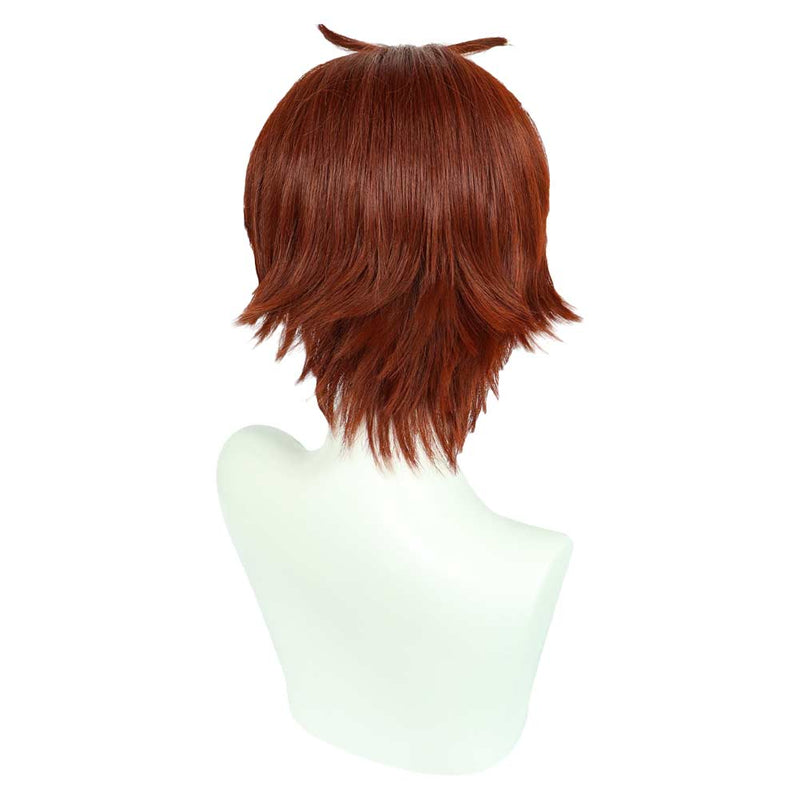 Classroom of the Elite Ayanokouji Kiyotaka Cosplay Wig Heat Resistant Synthetic Hair Carnival Halloween Party Props