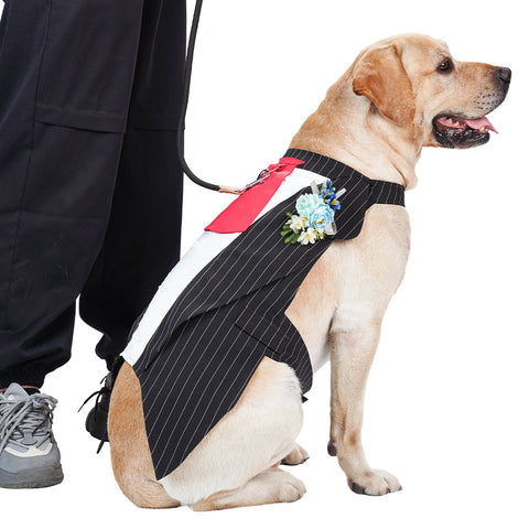 Cosplay Costume Outfits Halloween Carnival Party Suit Pet Tuxedo Tie Stripe