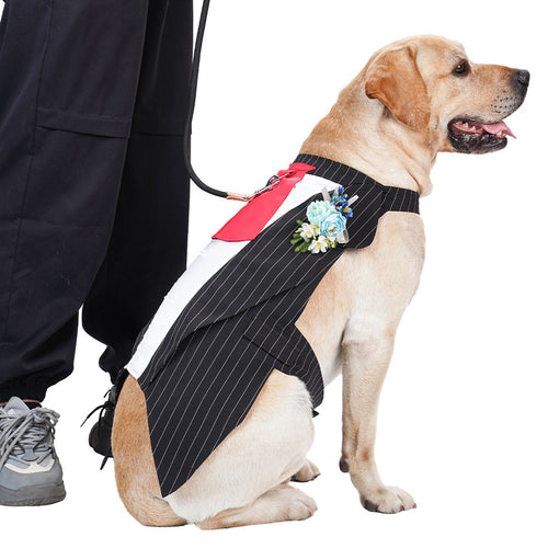 Cosplay Costume Outfits Halloween Carnival Party Suit Pet Tuxedo Tie Stripe