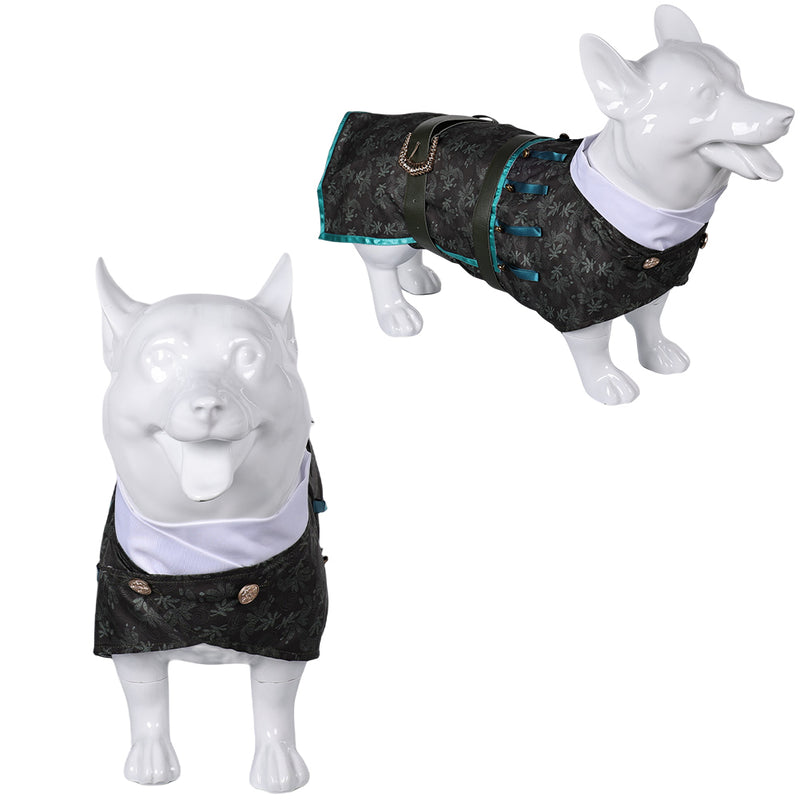 Doctor Dillamond Pet Clothes cos