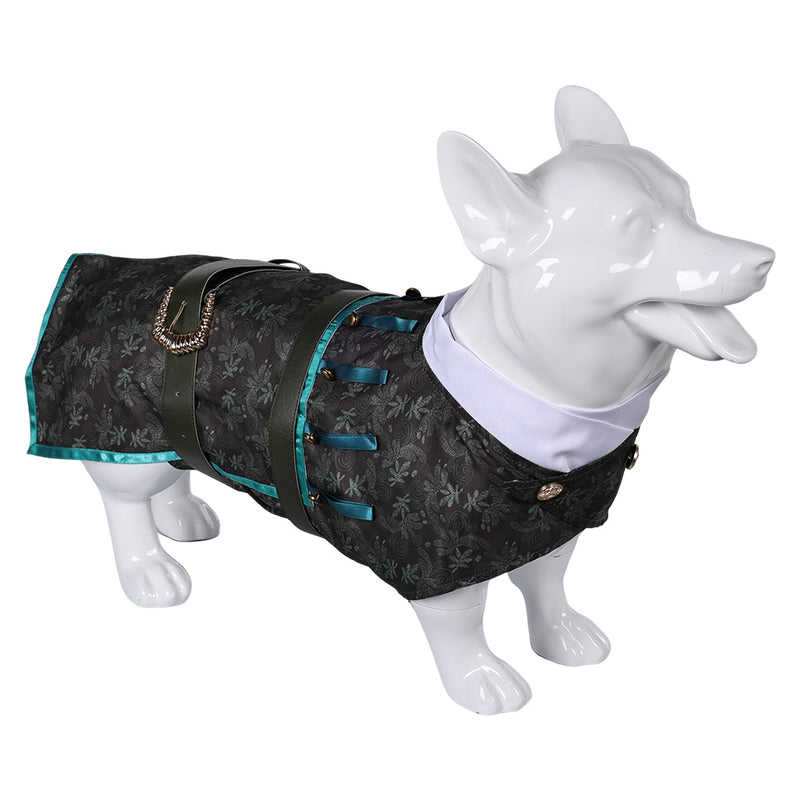 Doctor Dillamond Pet Clothes cos