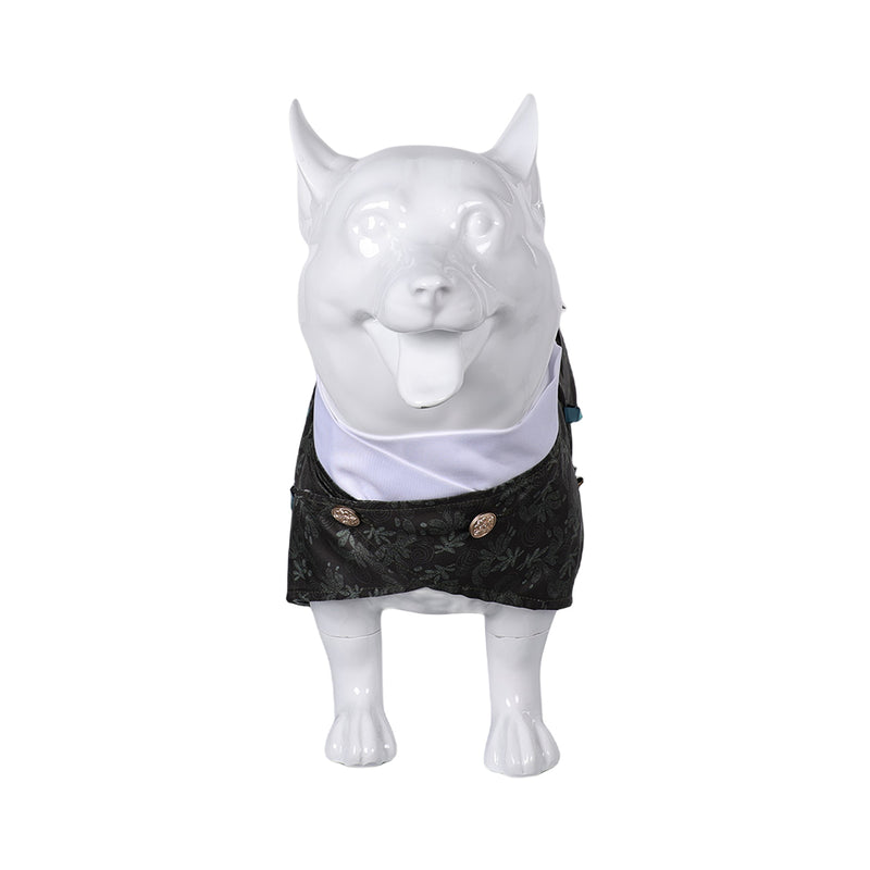 Doctor Dillamond Pet Clothes cos