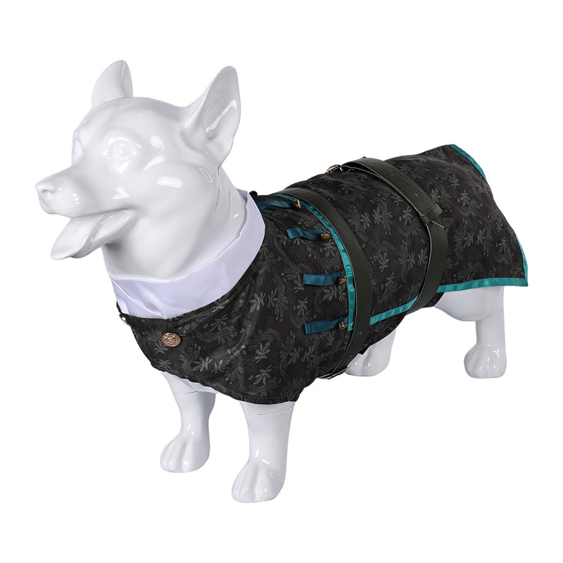 Doctor Dillamond Pet Clothes cos