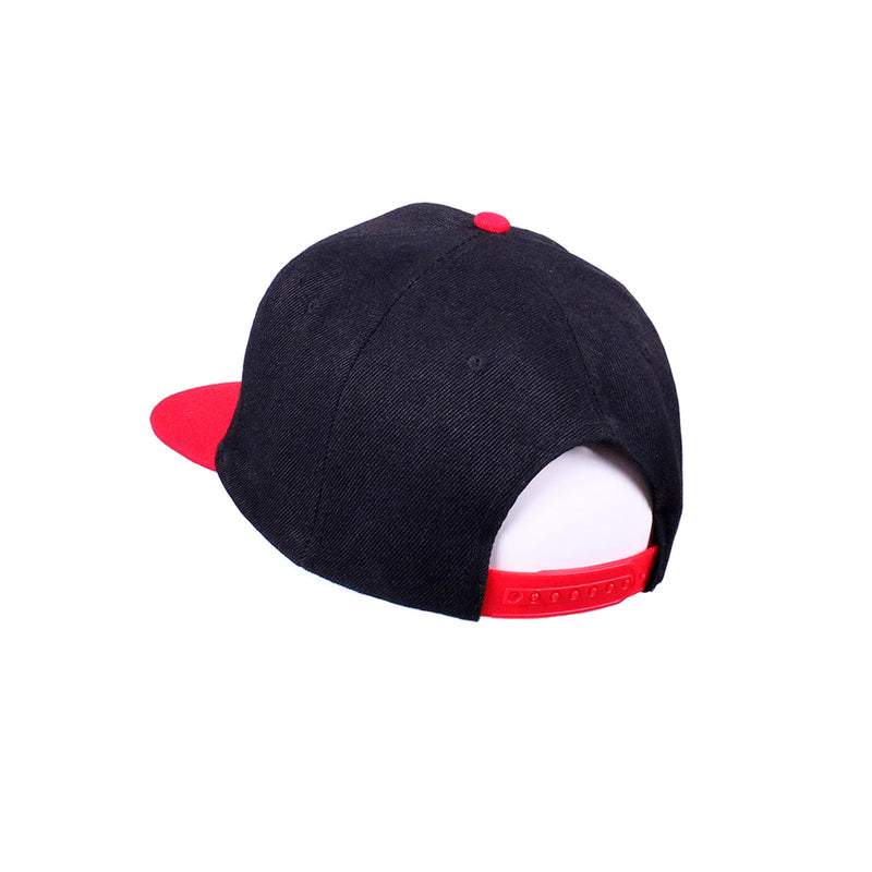 Slam Dunk SHOHOKU Basketball Team Cosplay Hat Flat Baseball Cap Halloween Carnival Costume Accessories