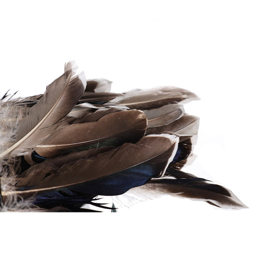 Stage performance costumes Feather cape Clothing Matching